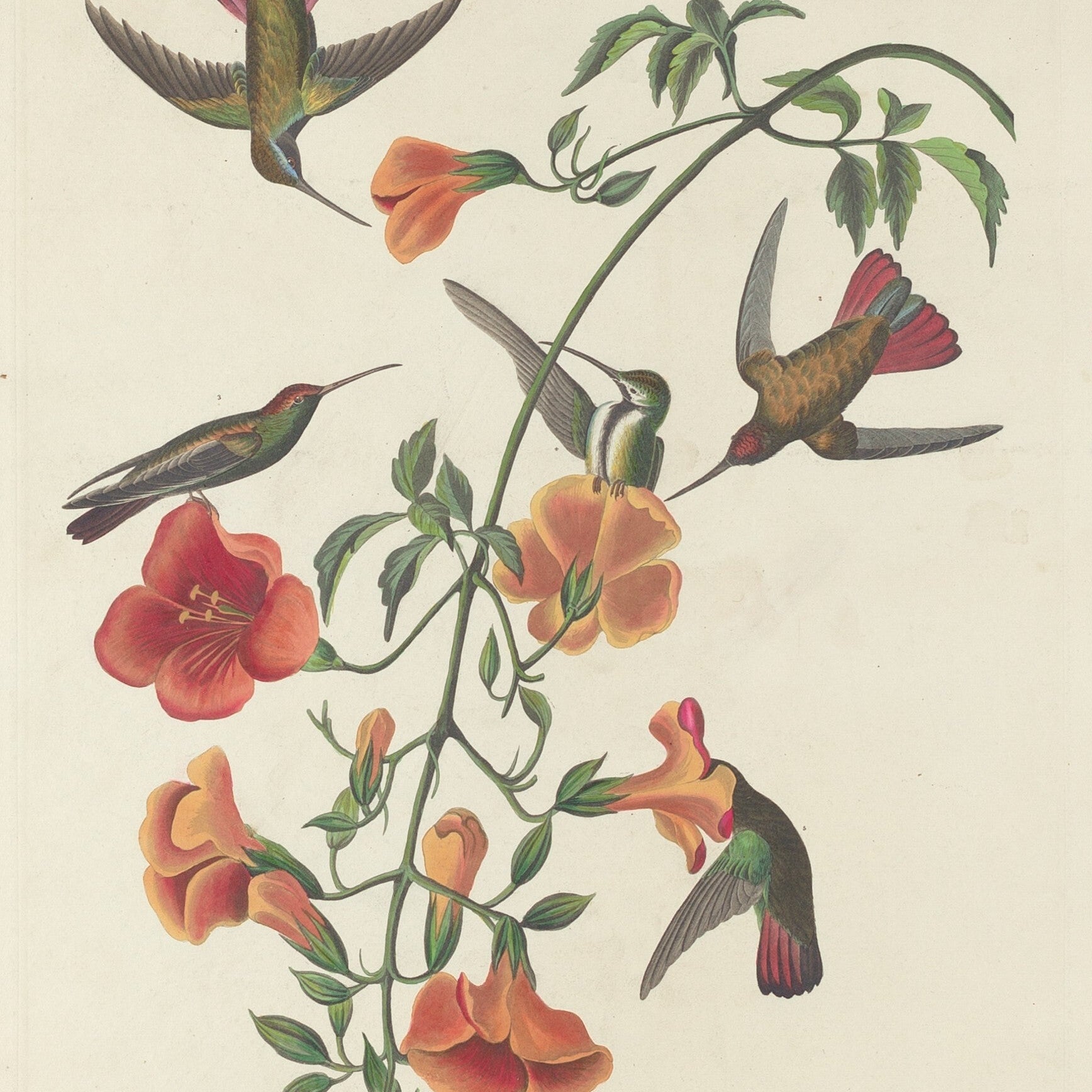 Call for Art: Perch, Flutter, Soar