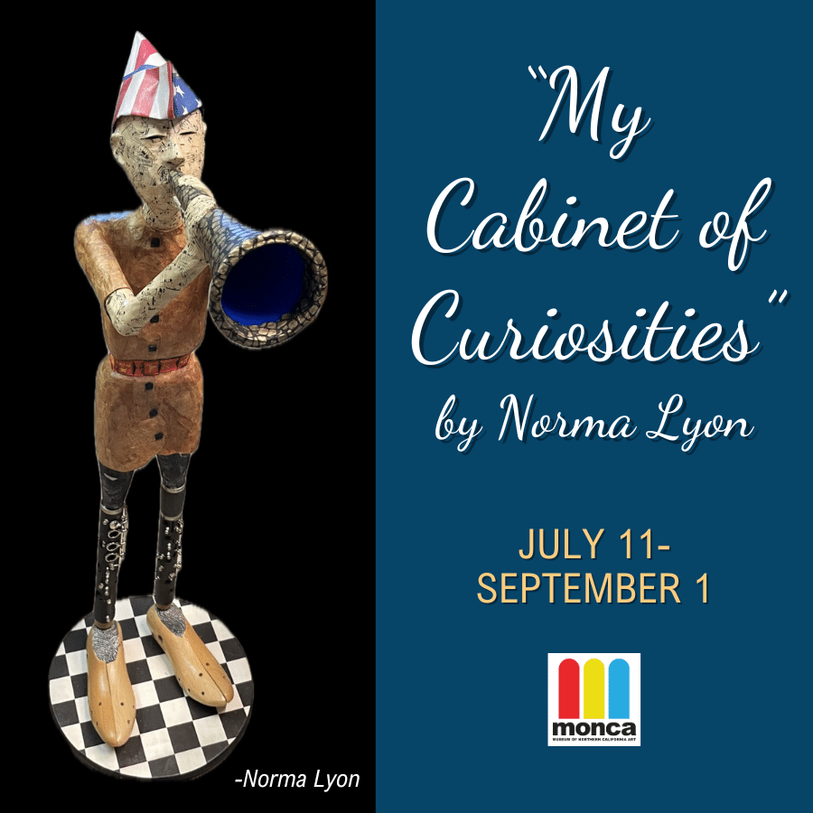 My Cabinet of Curiosities by Norma Lyon