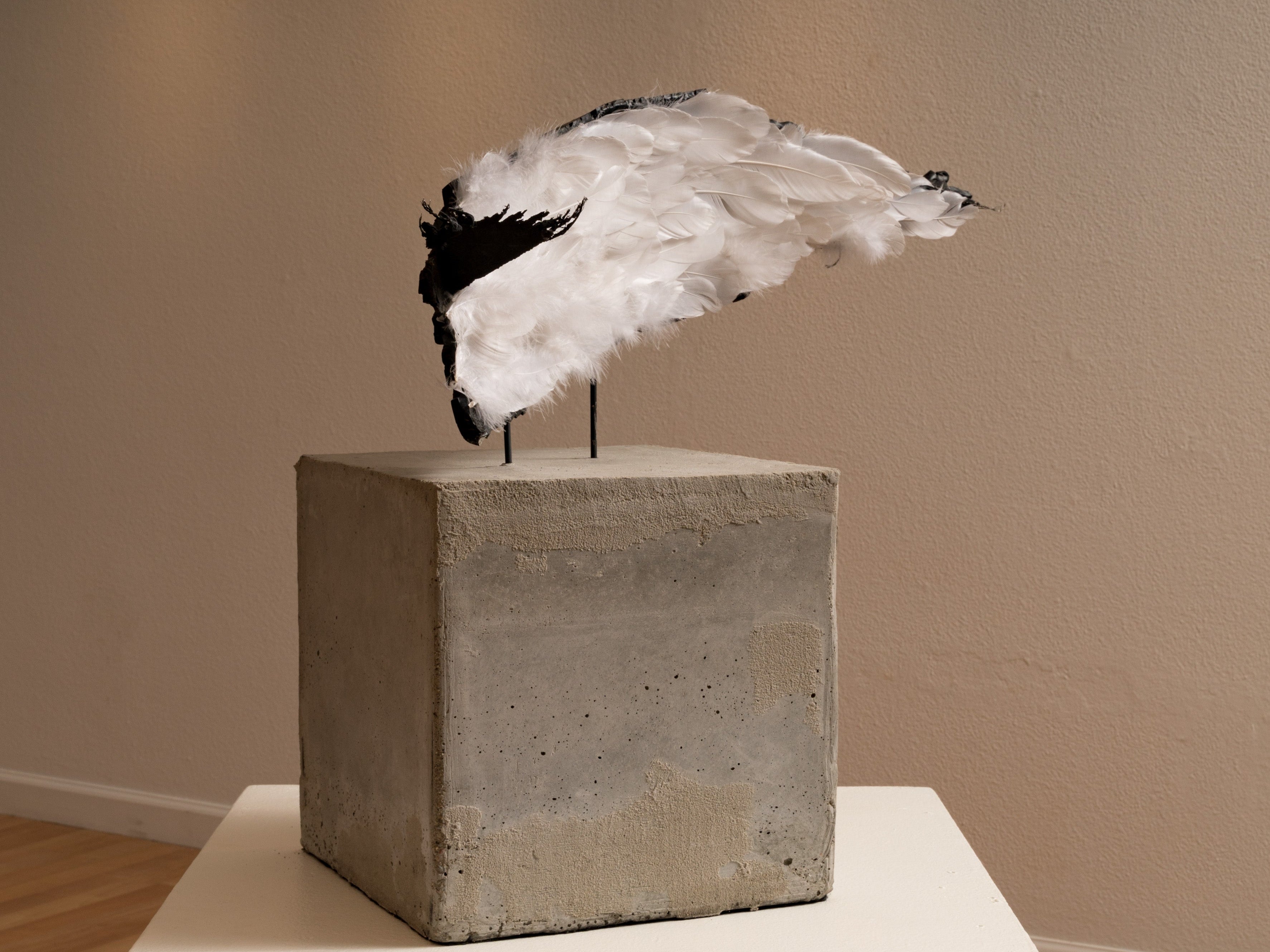 Sculpture "They Cut off my wings so I couldn't be Loud" by Belinda Hanson