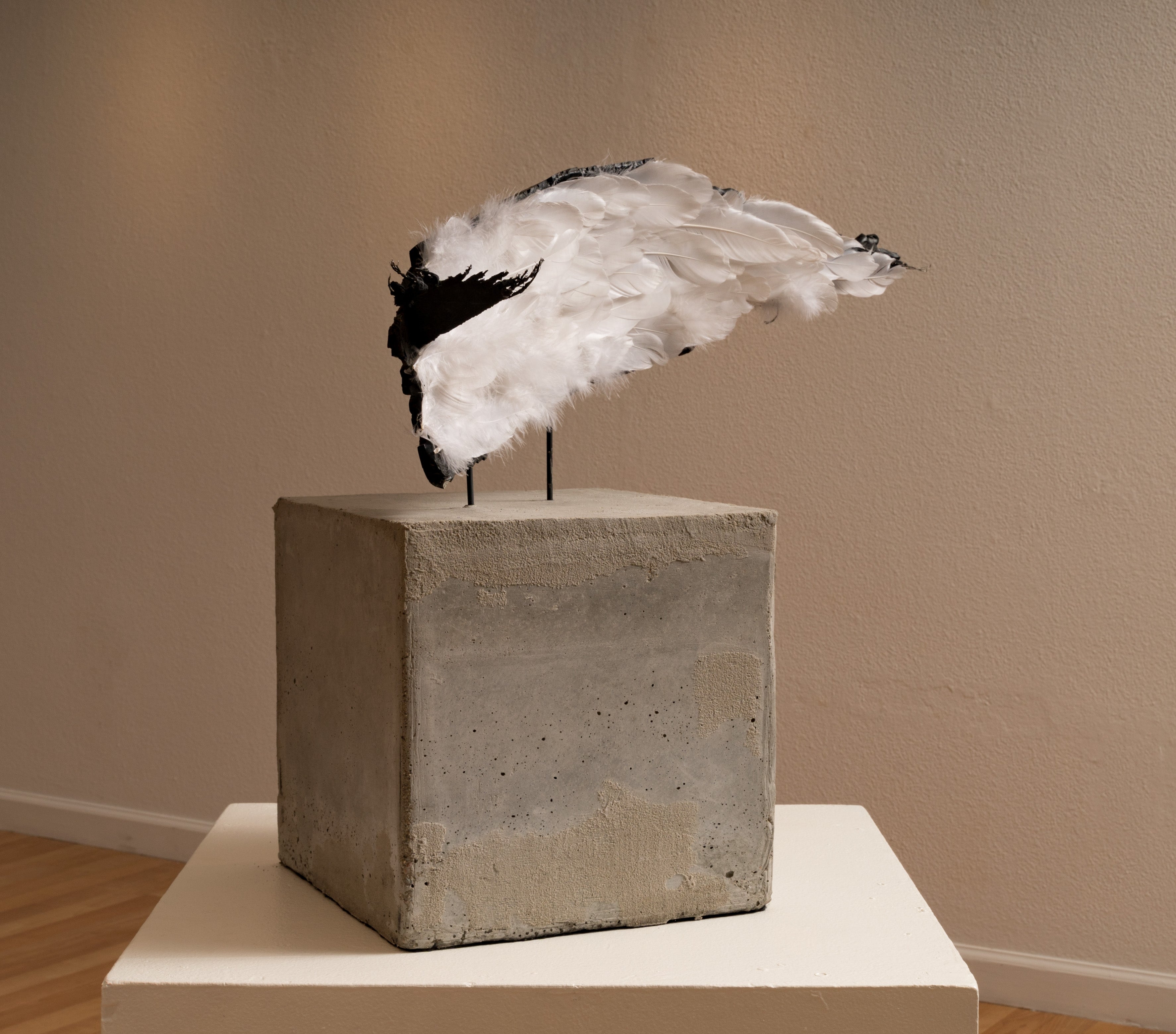 Sculpture "They Cut off my wings so I couldn't be Loud" by Belinda Hanson