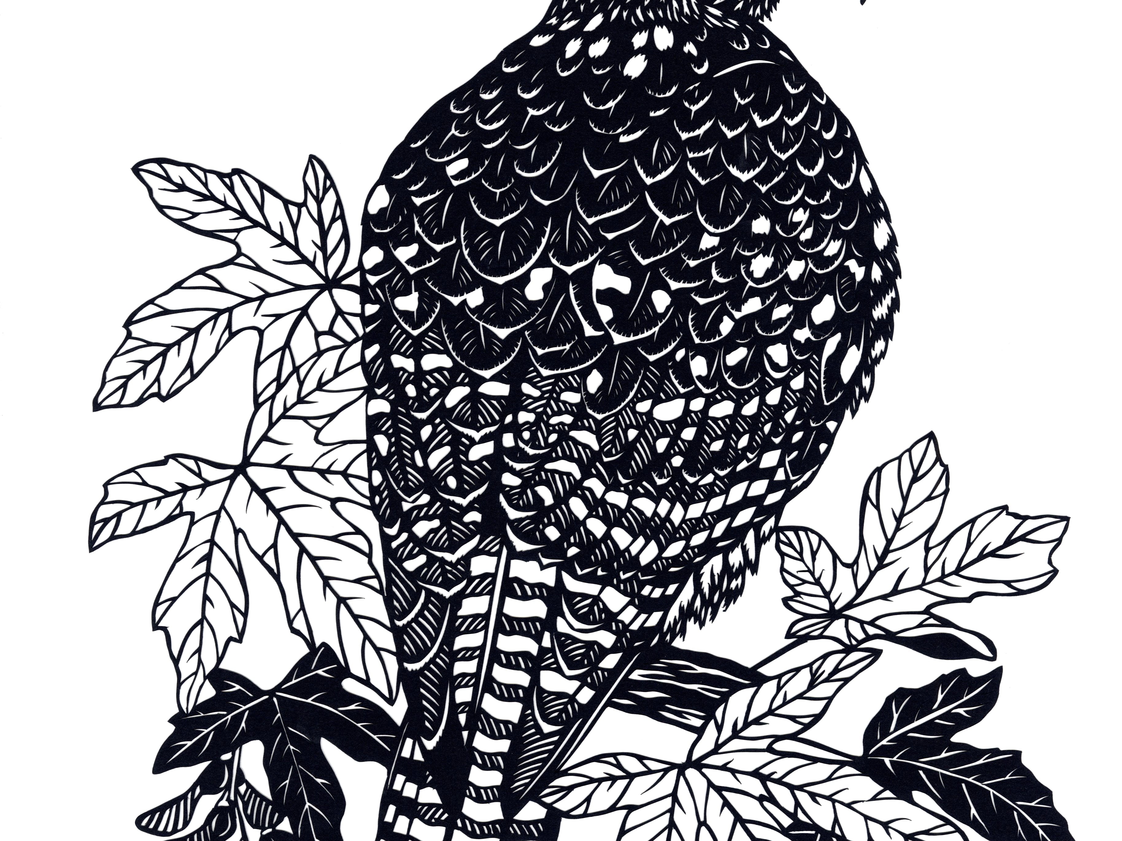 Perch, Flutter, Soar Exhibition Opening Reception