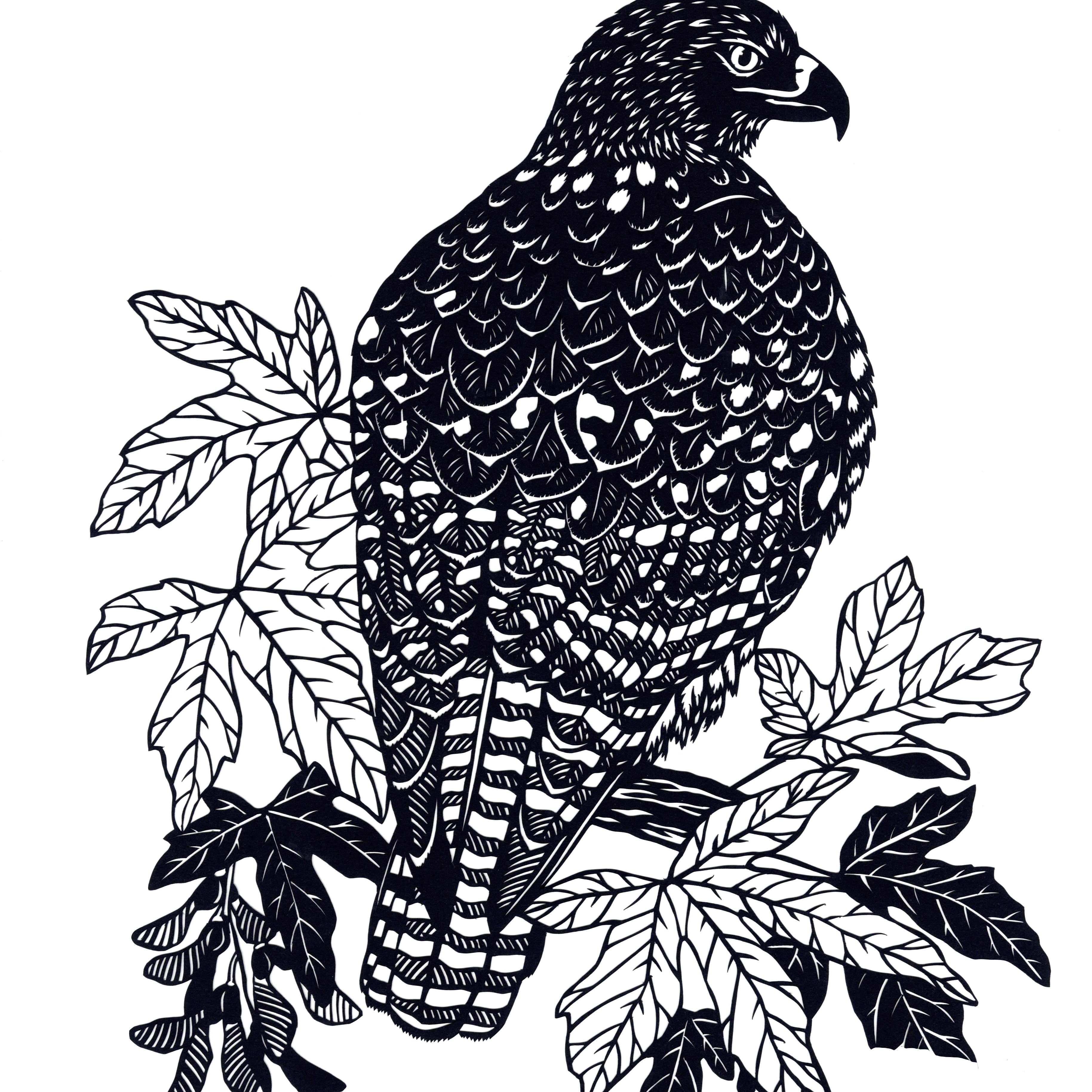 Perch, Flutter, Soar Exhibition Opening Reception