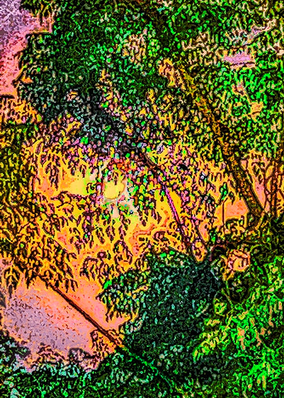 ARTISTIC ALCHEMY by Elizabeth Newman Kuiper: Assemblages and Cell Phone Photography