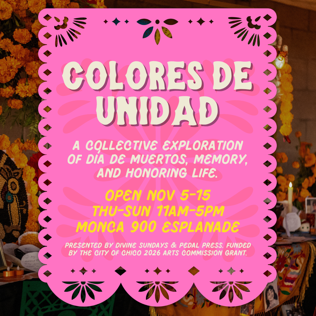 Colores De Unidad