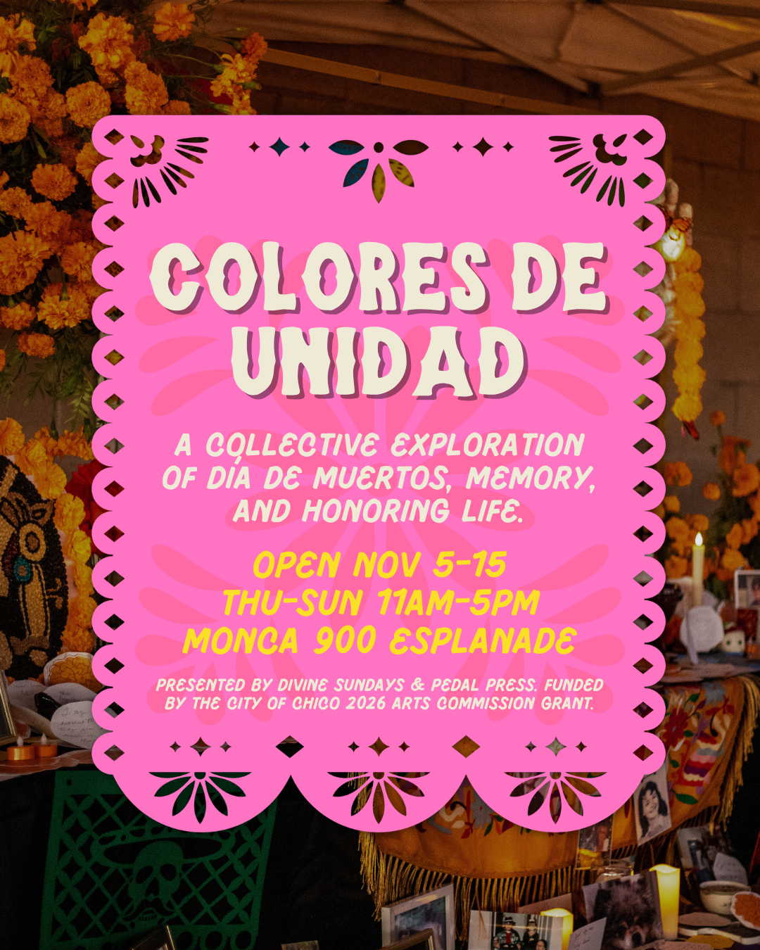 Colores De Unidad