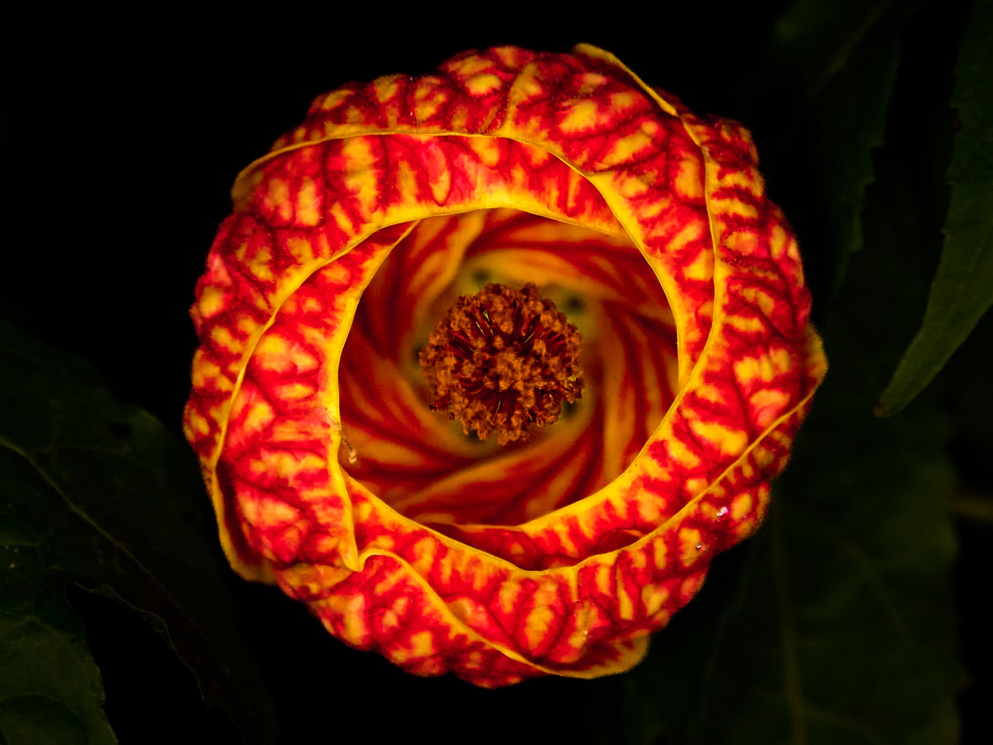 Foster Care Museum, Small Wonders, Uninvited Guests