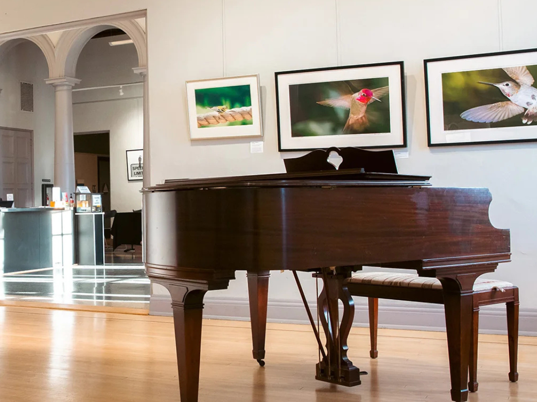 "Music at the Museum: Playing with Others" Recital