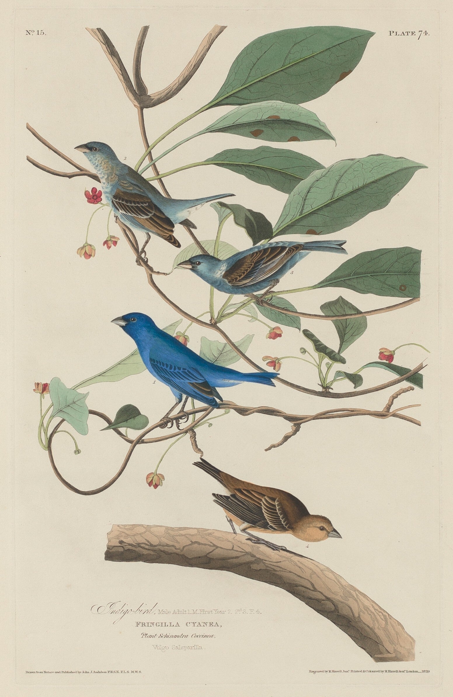 Birds! - CALL FOR ART