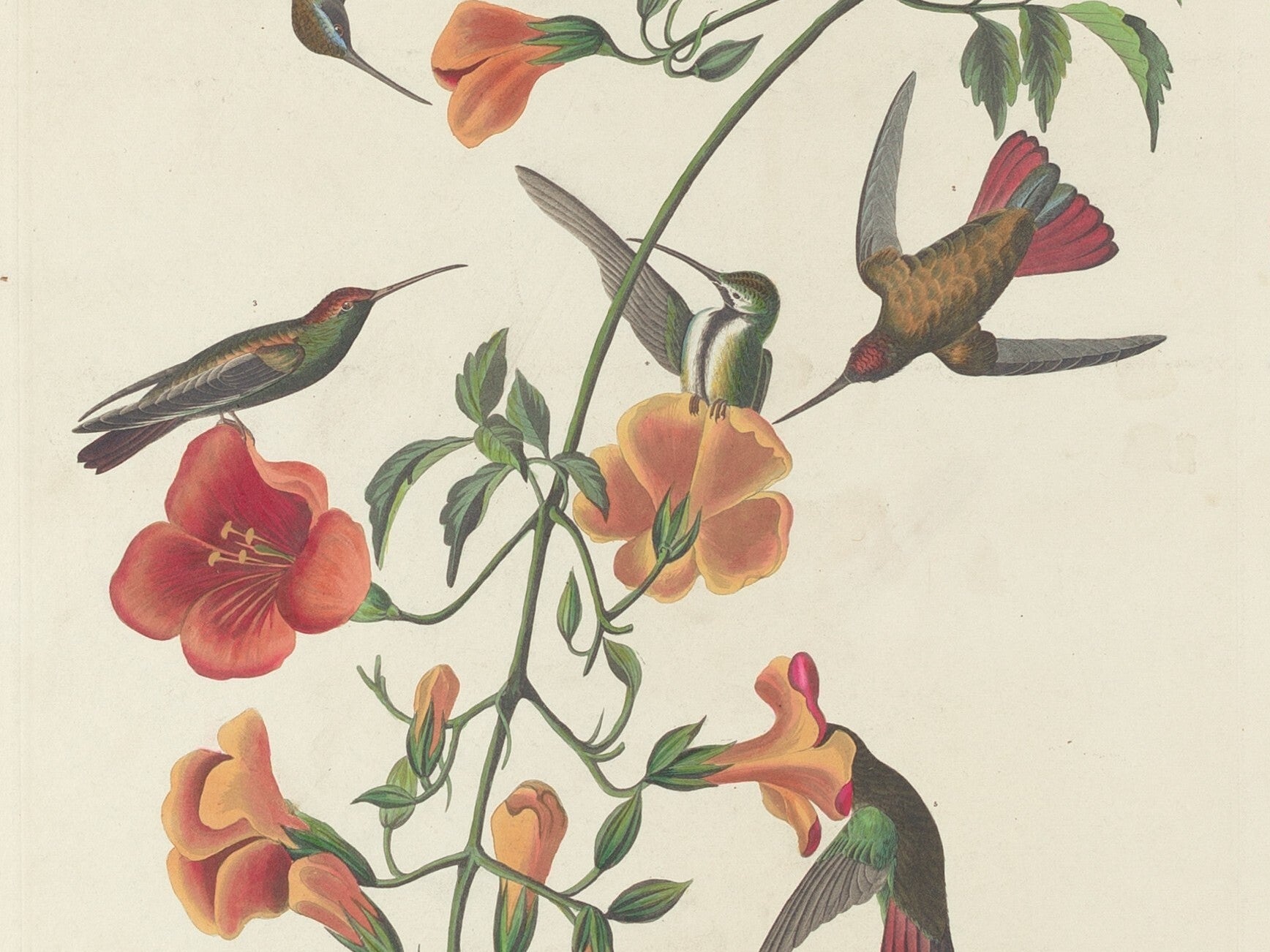 Call for Art: Perch, Flutter, Soar