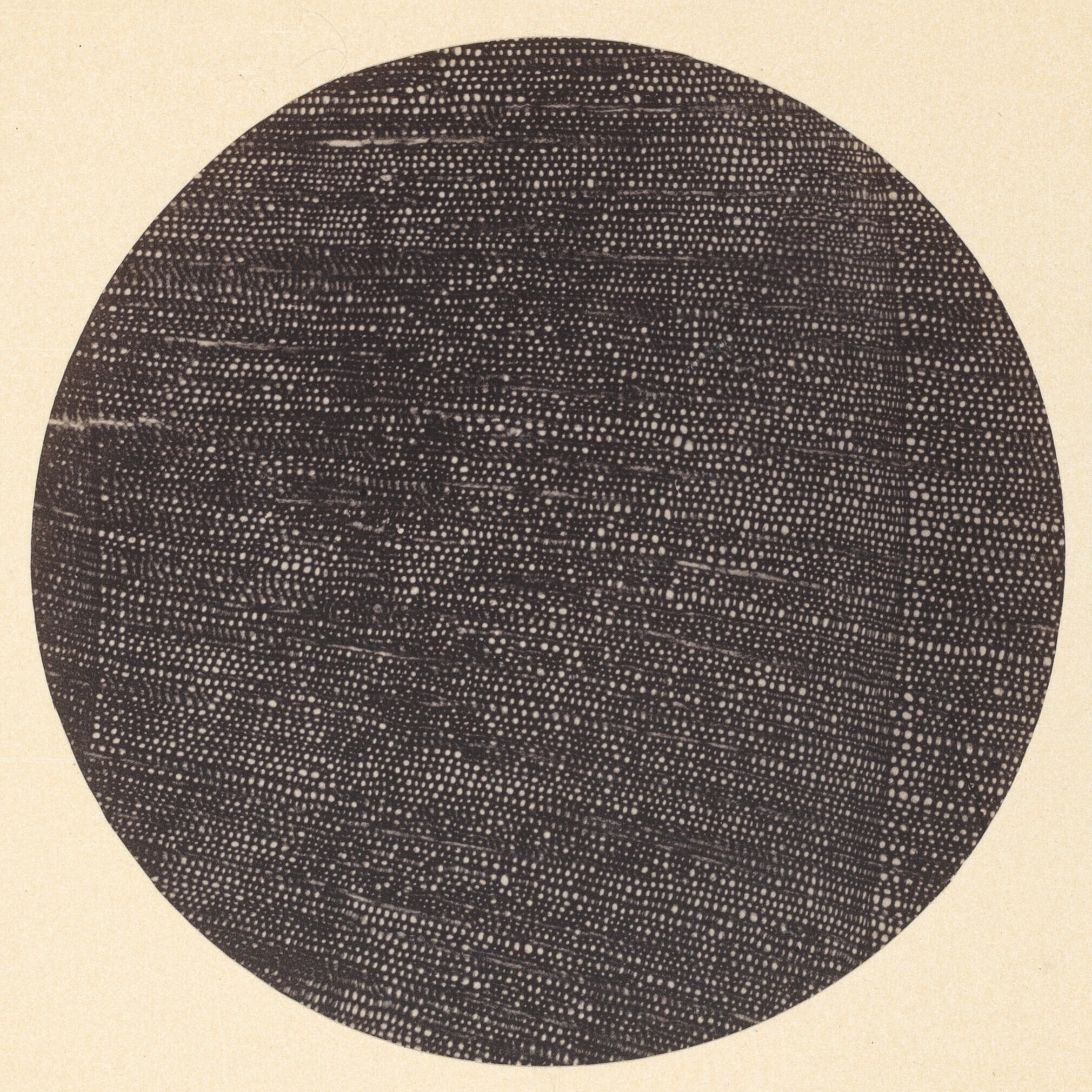 Call for Art: Small Wonders
