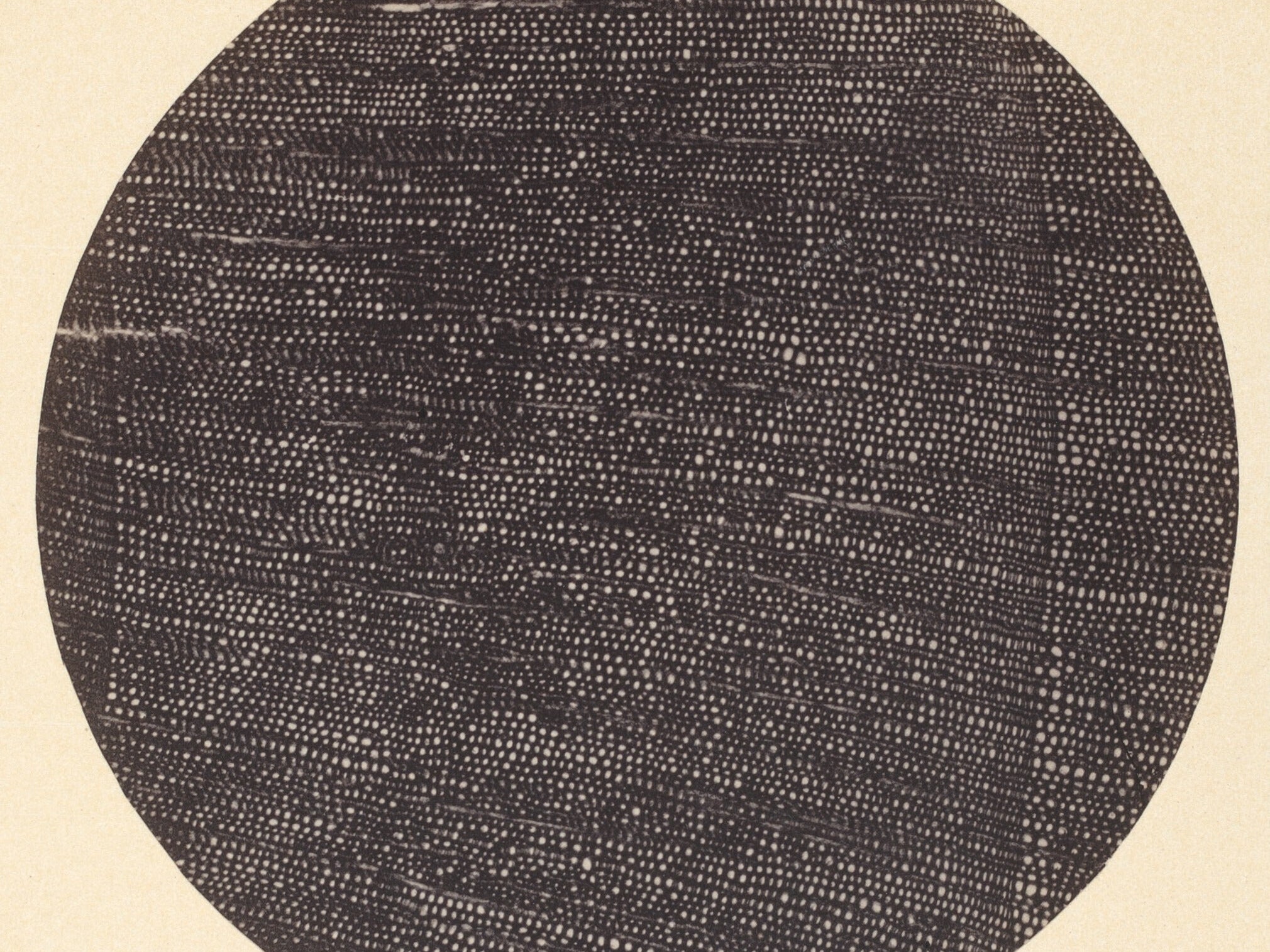 Call for Art: Small Wonders