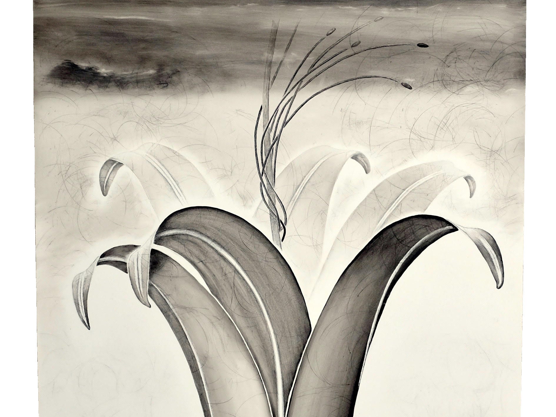 Artist Talk:  Herlinde Spahr