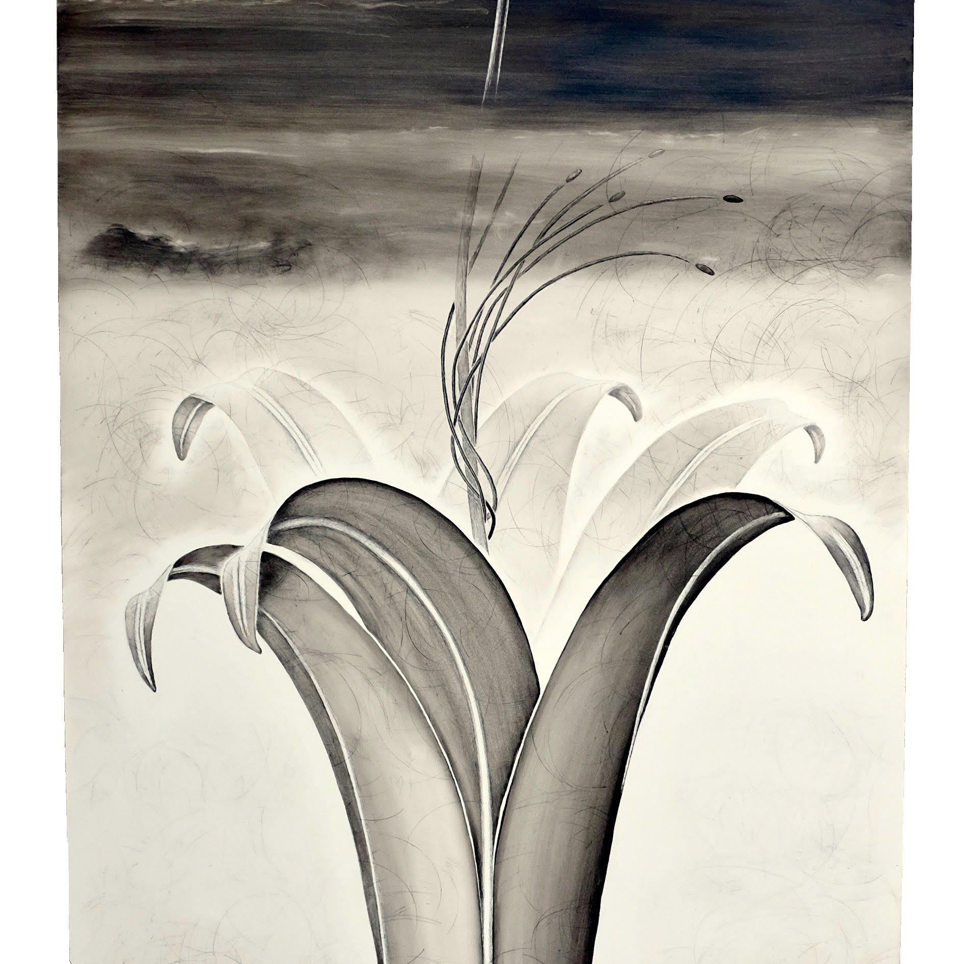 Artist Talk:  Herlinde Spahr