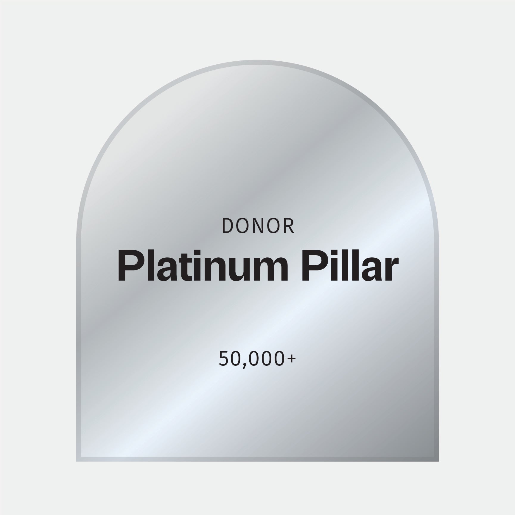 Platinum Pillar Donation